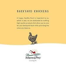 Manna Pro Hen Healer Blue Wound Ointment – 2 oz | Lanolin-Based Poultry Skin Treatment for Cuts, Scrapes & Pecking Injuries