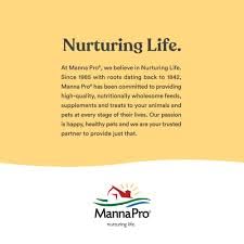 Manna Pro Hen Healer Blue Wound Ointment – 2 oz | Lanolin-Based Poultry Skin Treatment for Cuts, Scrapes & Pecking Injuries