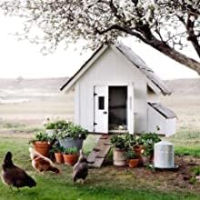 Amtrak Solar Powerful 50-Watt Solar Roof, Attic, Exhaust Fan Quietly Cools and Ventilate Your House, Garage, RV, Shed, Chicken Coop, and Protects Against Moisture (with on/off Switch) (20 watts)