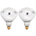 Aiicioo 250W R40 Clear Heat Lamp Bulb R40 Incandescent Heat lamp Bulb for Pets Flood Light - Glass, 2 Pack by Aiicioo