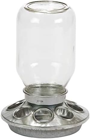Glass Jar Chick Feeder - Little Giant - Mason Jar Baby Chick Feeder, 1 Quart (Item No. MJ9810)