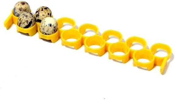 Hatching Time Quail Egg Rack - Attaches to Conturn Egg Setter Value Pack (12 Pack For CT60SH Incubator)