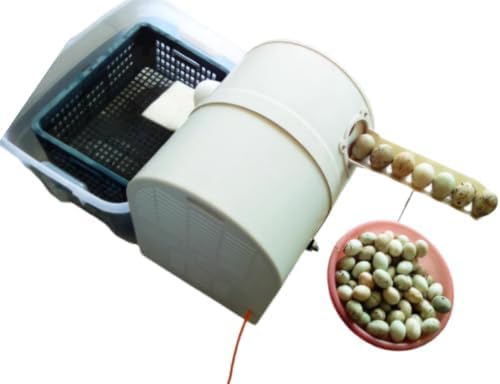 Automatic Electric Egg Washing Machine – 2300 Pcs/H Egg Washer with Roller Brush, Suitable for Chicken, Duck, and Goose Eggs (220V)