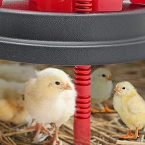 Chick Brooder Heat Plate Replacement Heat Lamp Brooder Box Adjustment Height Up to 15-20 Chicks Simulates Natural Heating by a Mother Hen for Healthier Chicks/Ducks