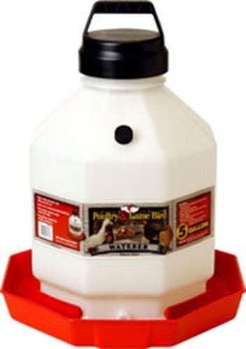 Little Giant® Plastic Poultry Waterer | Heavy Duty Plastic Gravity Fed Water Container | Easy to Fill | Snap on Jar | 5 Gallons