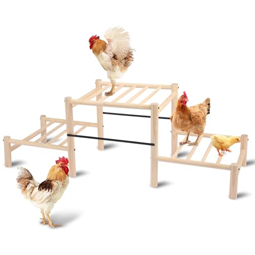 Chicken Perch, Natural Beech Wood Roosting Ladder for Poultry - 34.8in×12in×11.8in, Wood color by moyardow