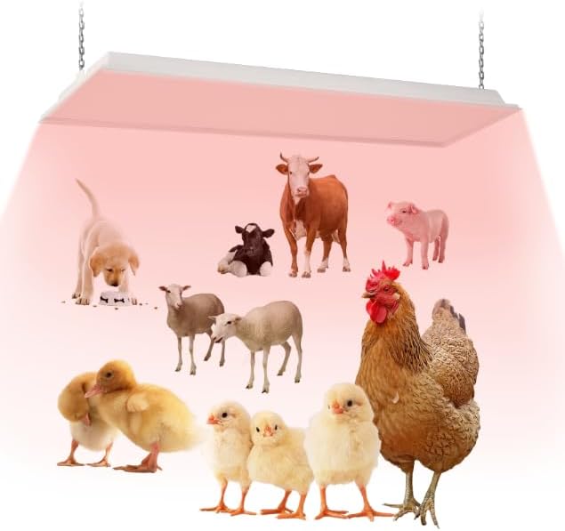 40"x11" Large Overhead Infrared Heater, 150W Chick Brooder Lamp for 50-75 Chicks, Safe and Energy Efficient Adjustable Hanging Heat Lamp with Uniform Heat for Chicken Coops, Pigs, Indoor & Outdoor