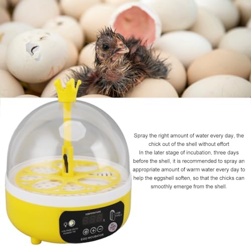 Luqeeg Mini Egg Incubator, Temperature Control Digital Incubators, 4 Eggs Candler Poultry Hatching Machine Eggs Poultry Hatching Machine for Chickens Ducks Pigeons (Auto Turning)