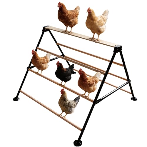 XCL Chicken Roosting Bars, Chicken Perch for Coop - natural wood color, Metal & Wood, for Adult Chickens (L) by XCL XINCAI ROAD