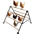 XCL Chicken Roosting Bars, Chicken Perch for Coop - natural wood color, Metal & Wood, for Adult Chickens (L) by XCL XINCAI ROAD