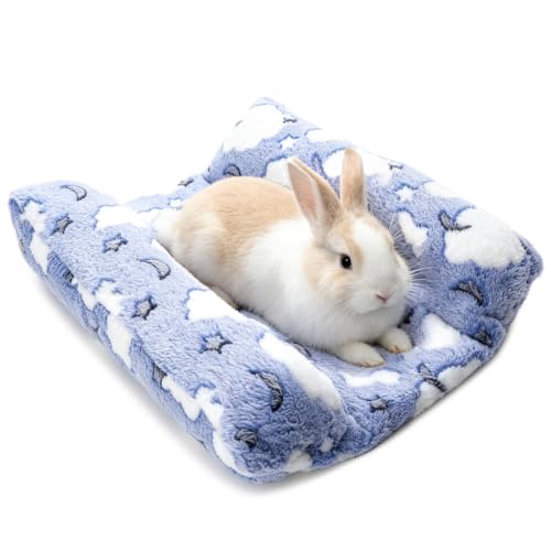 Rabbit Bed with Pillows, Dual-Sided 17"x15" Washable Lounger Pad - 17 x 15 inches, Sky Blue Cloud, Polyester by Tierecare