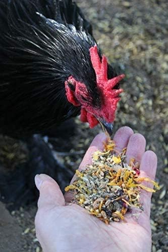 Backyard Chicken High Protein Herbal Treat with Dried River Shrimp, Black Soldier Fly Larvae, Mealworms, Basil, Hibiscus Flowers, Rose Petals (PowerHen) (8 pounds)