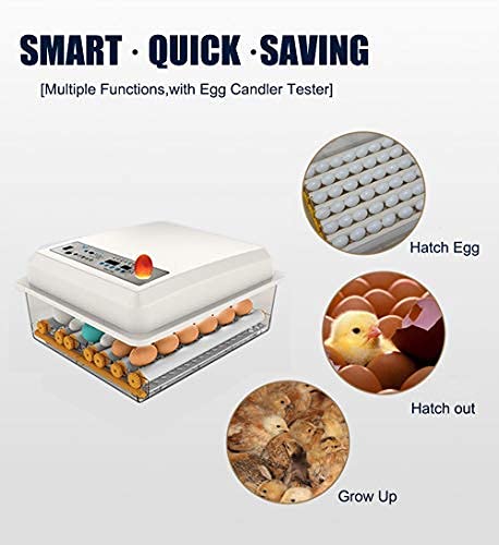 Egg Incubator,Egg Incubator with Automatic Egg Turning and Humidity Control,Poultry Hatcher for Chickens Ducks Birds (56 Eggs)