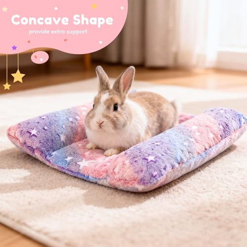 Rabbit Bed with Pillows, Dual-Sided 17"x15" Washable Lounger Pad - 17 x 15 x 4 inches, Rainbow Star, Polyester - Image 3