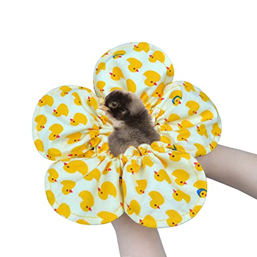 Chick Pouch Chick Holder Diaper for Chicken Hen Chick Protector Observation by pranovo