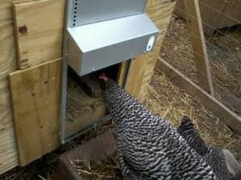 Automatic Chicken Coop Door, ADOR1 Made in Texas