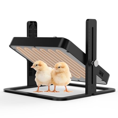 Upgraded Chick Heating Plate with Adjustable Height & Angle - 10.0"L x 5.0"W x 10.0"H, Black, Acrylonitrile Butadiene Styrene (ABS), Ideal for Chicks by howooiua