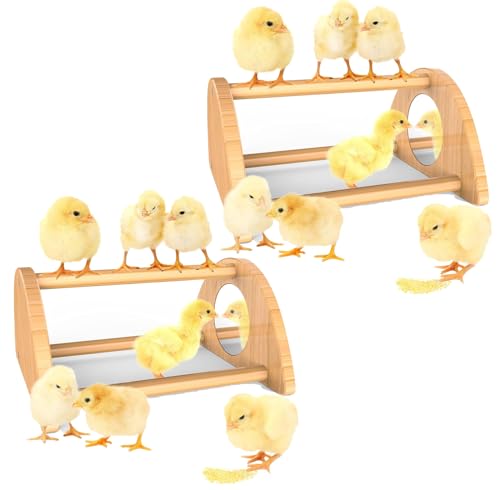 2-Pack Mini Chick Perch with Mirror, Bamboo Roosting Bar - 7"X6.6"X3.6", 22 Pack by Ensayeer