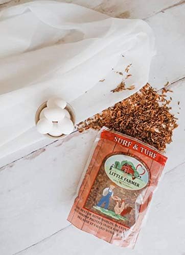 Surf & Turf | Dried River Shrimp & Mealworm Chicken Treat Premium Poultry Mix | 1 lb