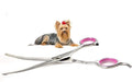 Dog Grooming Scissors Curved 7 Inch Stainless Steel with Safety Round Tips Professional Pet Grooming Shears for Dogs and Cats