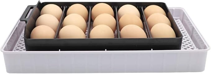 Automatic Egg Incubator, 12Eggs Electronic Poultry Hatcher with Digital LED Display Temperature Control Auto Egg Turning Turner (12 Eggs)