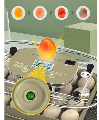 24 Egg Incubators for Hatching Eggs, Chicken Egg Incubator with Egg Candler, Automatic Egg Turning and Temperature, Humidity Control, Egg Hatcher Incubator for Chickens, Ducks, Geese, Birds and Quail