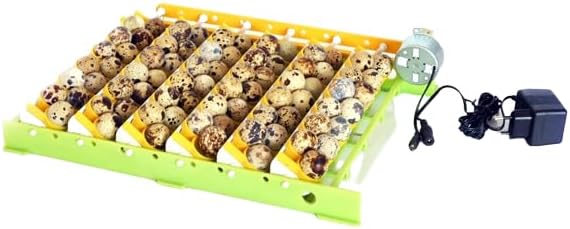 Quail Egg Rack - Attaches to Conturn Egg Setter Value Pack (24 Pack For CT120SH Incubator)