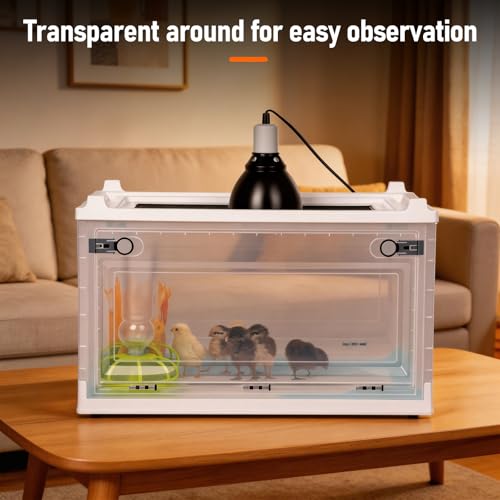 Chick Brooder Box with Adjustable Heat Lamp, Waterer & Feeder - white, Metal & Plastic - Image 6