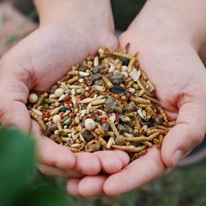 Chicken Fun-DOO Non-GMO, Soy-Free Chicken Treat | Premium Poultry Meal Worm, Vegetable & Herb Mix (25lbs)…