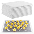 10 Pack Chick Brooder Liners Chick Bedding Bamboo Charcoal Hatchling Liners Keep - 35" x 24", gray, Polyester, and More by UCandy