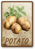 Vegetables Metal Sign Vintage Decor Potato Sign Farm Wall Decor Sturdy Rust Waterproof Aluminum Signs for Outdoor Yard Garden Easy to Install 12x16inch