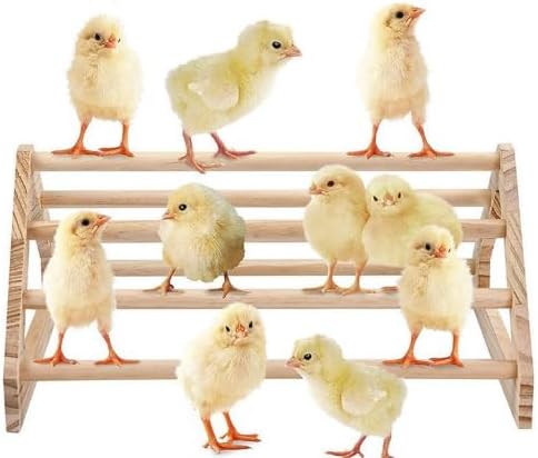 Long Pine Wooden Chick Perch Set, 2 Pieces, Roosting Bar with Holes, Brooder and Coop Accessories, Jungle Gym Fun Toys for Baby Chickens