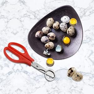 12Pack Stainless Steel Quail Egg Cutter - Scissors for Pigeon Eggs, Opener, Cracker - Four Colors