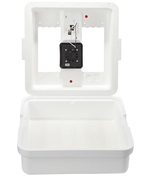 Little Giant® Digital Still Air Incubator | 41 Egg Capacity | Chick Egg Hatching Incubator with Temperature and Humidity Control | Made in USA