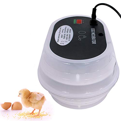 Smartxchoices Digital Mini Egg Incubator 9-12 Eggs with Fully Automatic Turning Humidity Control Poultry Hatcher for Chickens Ducks Goose Birds