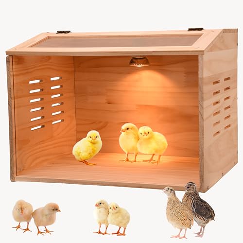 Brooder Box for Chicks, Chicken Brooder Box - 15.7"L x 12.0"W x 12.0"H, Acrylic & Wood, Chicken Heater by Cyzarize