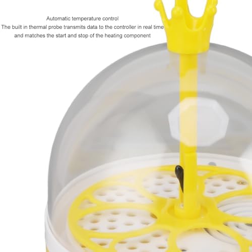 Small Incubators for Hatching Eggs, Mini Egg Incubator for Home Automatic Temperature Humidity Control Eggs Candler Poultry Hatching Machine for Chickens Ducks Pigeons (Auto