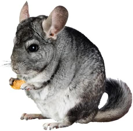 Lixit Chinchilla Dust (18 Pound)