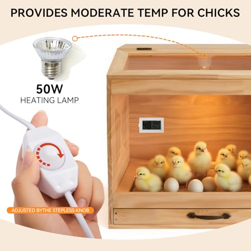 Brooder Box for Chicks, Wooden Chicken Brooder with Heat Lamp - Image 5