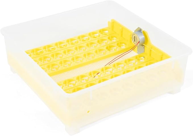 Egg Incubator Automatic Digital Hatcher Machine with Turning Temperature Control for Hatching Chicken Duck Goose Quail (48 Eggs)