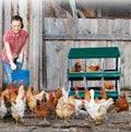Chicken Laying Box for Chicken Coop,Green with Support Legs, 6 Compartments Metal Nesting Box Wall Mount Protect Eggs Easy Egg Collection for Hens Ducks Poultry