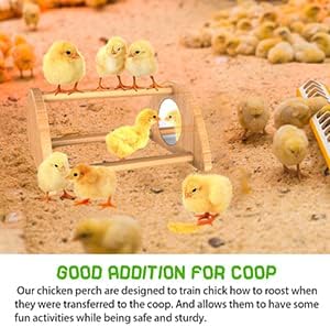 Mini Chick Perch with Mirror, Strong Bamboo Roosting Bar for coop and brooder, Training Perch for Baby Chicks, El Pollitos, La Pollita, Easy to Assemble and Clean, Fun Toys for Chick, 2 Pack