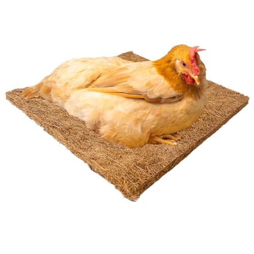 2 Pack Nest Box Pads Laying Hen Nesting Pads Brooder Pads Liners Excelsior Chicken Bedding - 30*30 cm/12*12 in, Brown, Coconut Palm Fiber - Image 6
