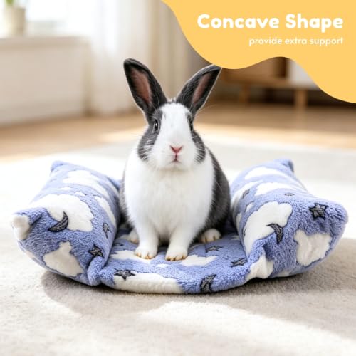 Rabbit Bed with Pillows, Dual-Sided 17"x15" Washable Lounger Pad - 17 x 15 inches, Sky Blue Cloud, Polyester - Image 3