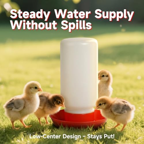 4PCS Chick Feeder and Waterer Kit,Baby Poultry Starter Set for Small Poultry Chicks Ducks - Plastic, 16 ounces - Image 4