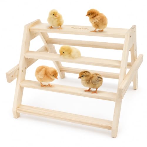 Chicken Perch Roosting Bars for Coop Accessories - 17.5"L x 17.5"W x 13.5"H, natural wood color, for Baby Chicks by RSJDQL