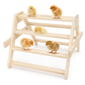 Chicken Perch Roosting Bars for Coop Accessories - 17.5"L x 17.5"W x 13.5"H, natural wood color, for Baby Chicks by RSJDQL