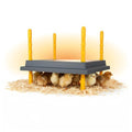 Hatching Time Warmzy Chick Brooder Plate 10 x 10-inch 15W for 15-20 Chicks - 12 Inches, Black by Hatching Time