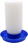 Poultry Water Jug Automatic Poultry Waterer Small Poultry Water Containers Drinkers for Chickens Birds Pigeon Quail 1L (Blue and White)