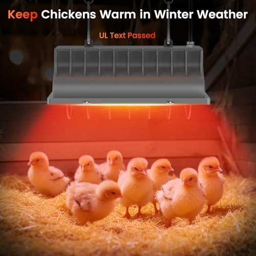 300W Bulb Repalcement -Heater for 30 Chicks Or Ducklings,Adjustable Temp for Livestock - 1 Pack, Red, Glass - Image 3